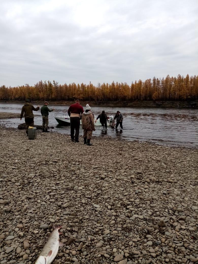 f71d6441-3ee7-46f4-856e-90e792ed97dd-whatsapp image 2025-11-06 at 18.46.49 (1).jpeg